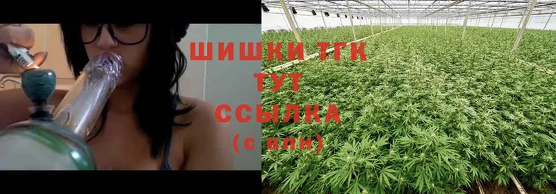 mega ссылки  Пучеж  Канабис SATIVA & INDICA  где купить наркотик 